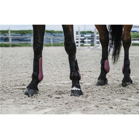 EQUITHÈME Carbon Gamaschen