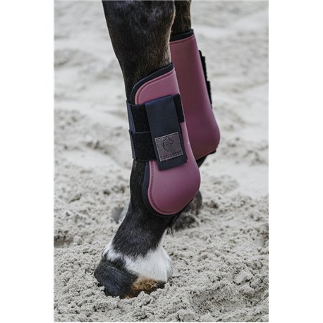 EQUITHÈME Carbon Gamaschen