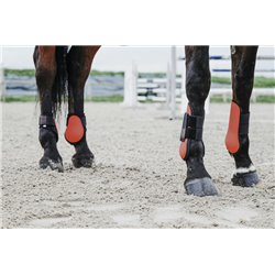EQUITHÈME Carbon Gamaschen 2
