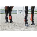 EQUITHÈME Carbon Gamaschen