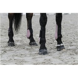 EQUITHÈME Carbon Gamaschen 2
