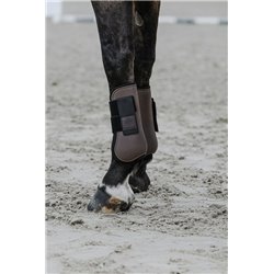 EQUITHÈME Carbon Gamaschen 2