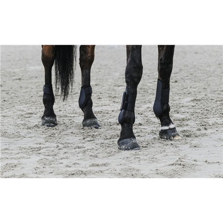 EQUITHÈME Carbon Gamaschen