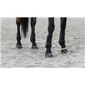 EQUITHÈME Carbon Gamaschen
