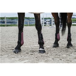 EQUITHÈME Streichkappen 2