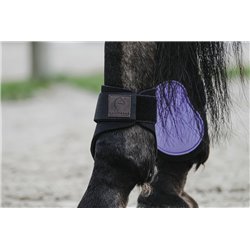 EQUITHÈME Streichkappen 2