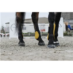 EQUITHÈME Streichkappen 2