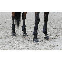 EQUITHÈME Streichkappen 2