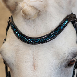 ZAUM PETIT SAPHIRE PONY 2