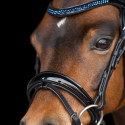 ZAUM PETIT SAPHIRE PONY