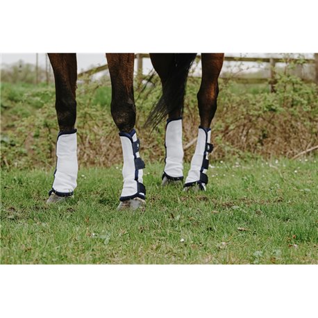 RIDING WORLD - X4 - Fliegenschutzbeinsch?tzer
