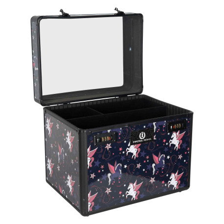 Box de pansage Shiny