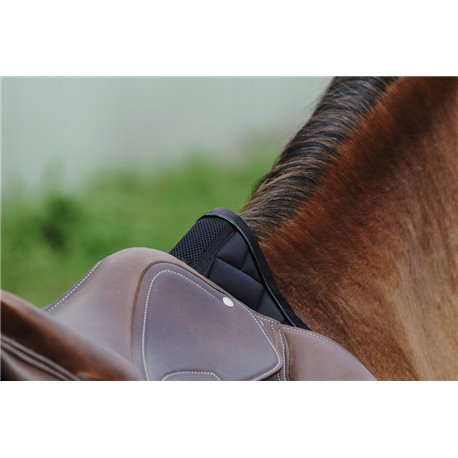 EQUITHEME - Impulsion - Schabracken