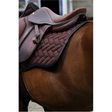 EQUITHEME - Impulsion - Schabracken