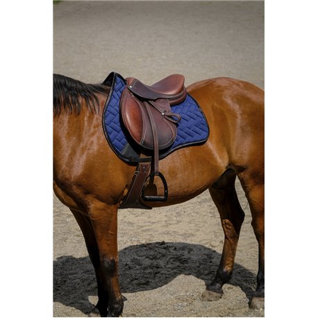 EQUITHEME - Impulsion - Schabracken