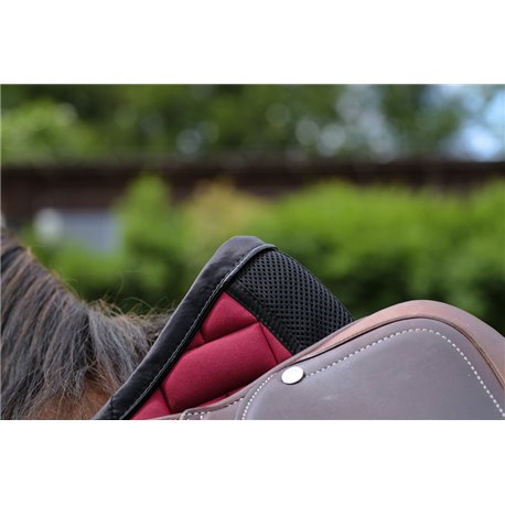 EQUITHEME - Impulsion - Schabracken