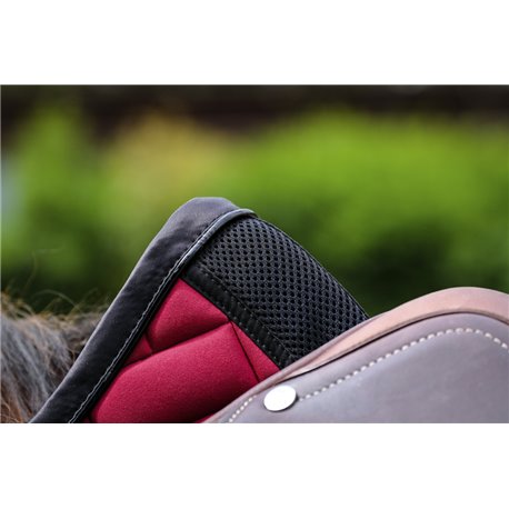 EQUITHEME - Impulsion - Schabracken