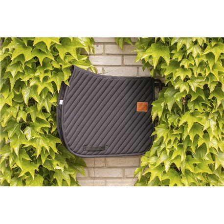 PADDOCK ?Diagonal" Schabrake