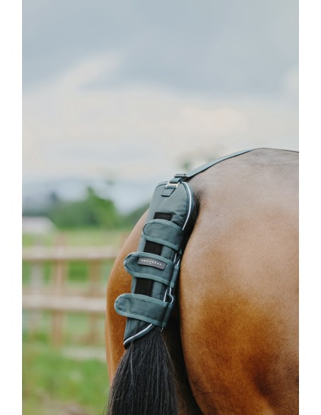EQUITH?ME - TYREX 600D - Schweifschoner