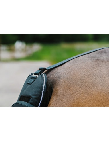 EQUITH?ME - TYREX 600D - Schweifschoner