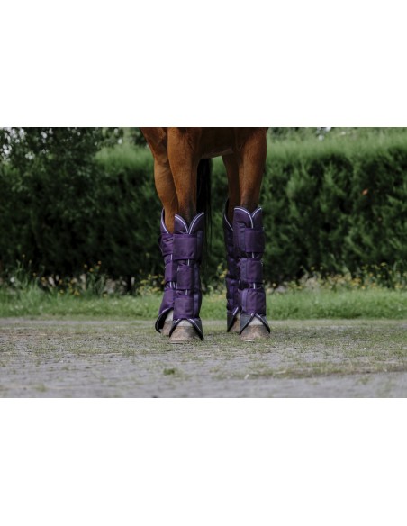 EQUITH?ME - TYREX 600D - Transportgamaschen
