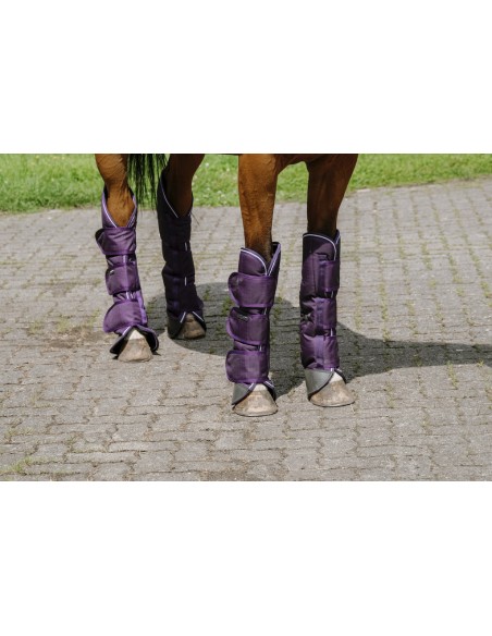 EQUITH?ME - TYREX 600D - Transportgamaschen