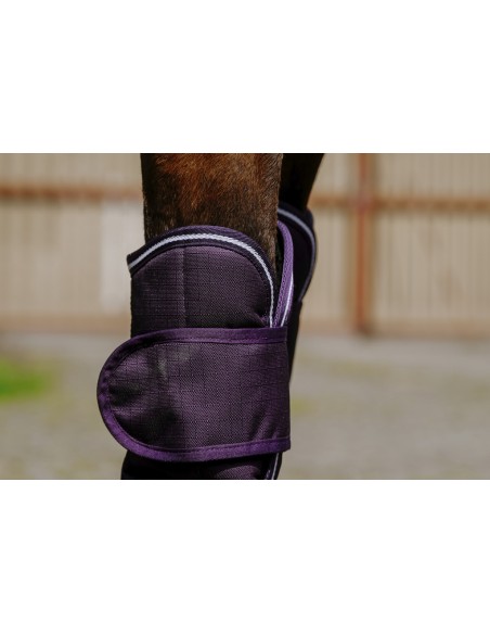 EQUITH?ME - TYREX 600D - Transportgamaschen