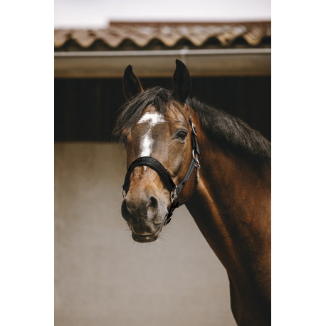 EQUITH?ME - Jacquard - Nylonhalfter