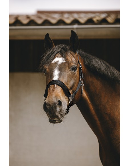 EQUITH?ME - Jacquard - Nylonhalfter