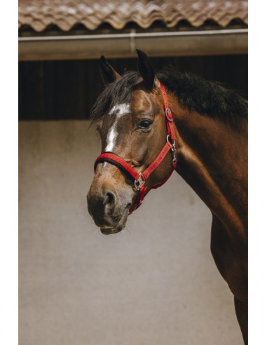 EQUITH?ME - Jacquard - Nylonhalfter