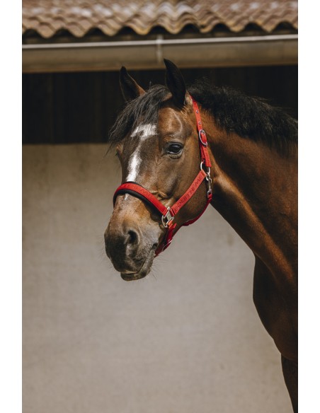 EQUITH?ME - Jacquard - Nylonhalfter