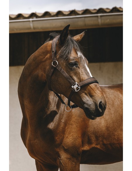 EQUITH?ME - Jacquard - Nylonhalfter