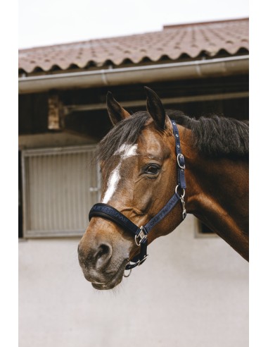 EQUITH?ME - Jacquard - Nylonhalfter