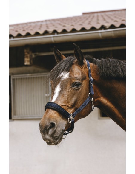 EQUITH?ME - Jacquard - Nylonhalfter