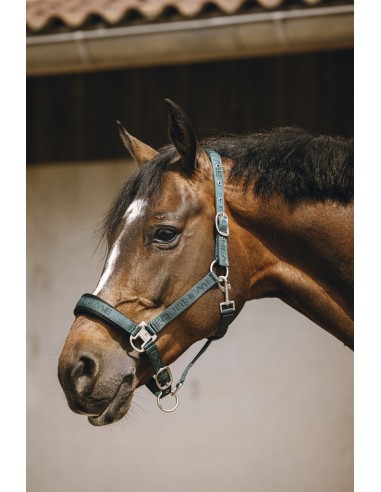 EQUITH?ME - Jacquard - Nylonhalfter