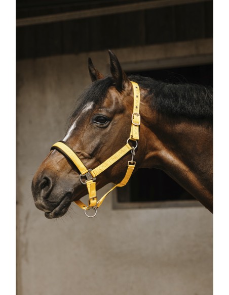 EQUITH?ME - Jacquard - Nylonhalfter