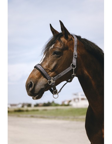 EQUITH?ME - Jacquard - Nylonhalfter