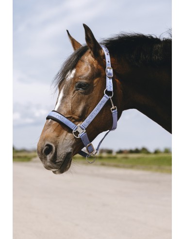 EQUITH?ME - Jacquard - Nylonhalfter