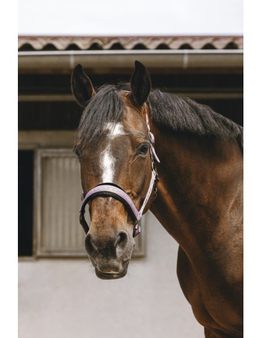 EQUITH?ME - Jacquard - Nylonhalfter