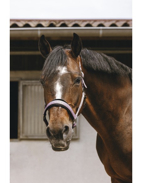 EQUITH?ME - Jacquard - Nylonhalfter