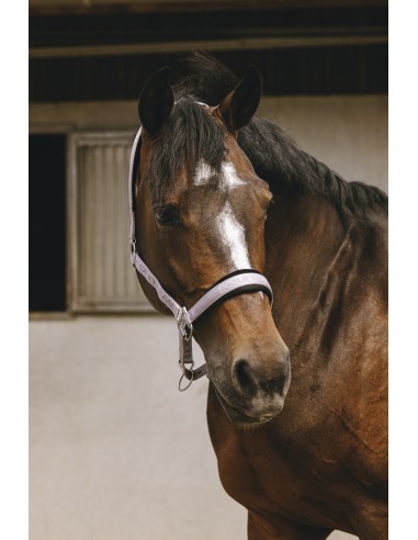 EQUITH?ME - Jacquard - Nylonhalfter