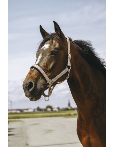 EQUITH?ME - Jacquard - Nylonhalfter