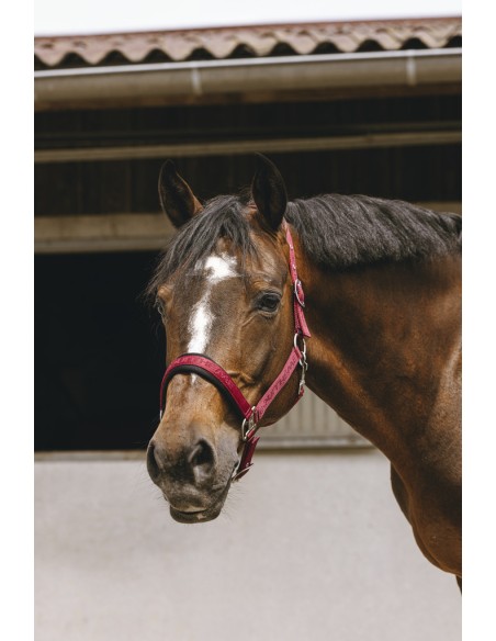 EQUITH?ME - Jacquard - Nylonhalfter