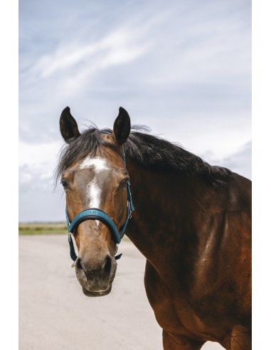 EQUITH?ME - Jacquard - Nylonhalfter