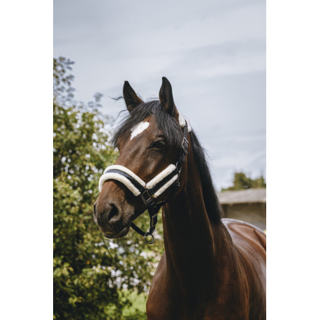 EQUITH?ME - Fashion - Nylonhalfter