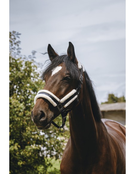 EQUITH?ME - Fashion - Nylonhalfter