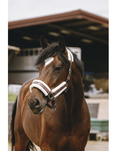 EQUITH?ME - Fashion - Nylonhalfter