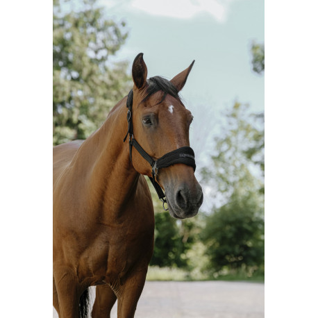 EQUITH?ME - 3D Mesh - Nylonhalfter