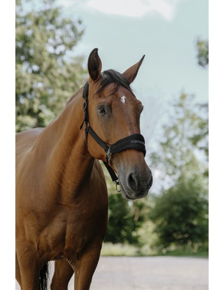 EQUITH?ME - 3D Mesh - Nylonhalfter