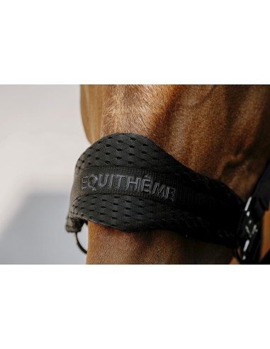 EQUITH?ME - 3D Mesh - Nylonhalfter